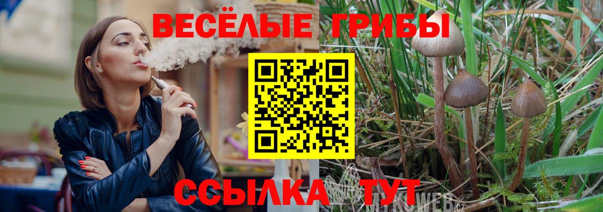 Псилоцибиновые грибы Psilocybe Сухой Лог